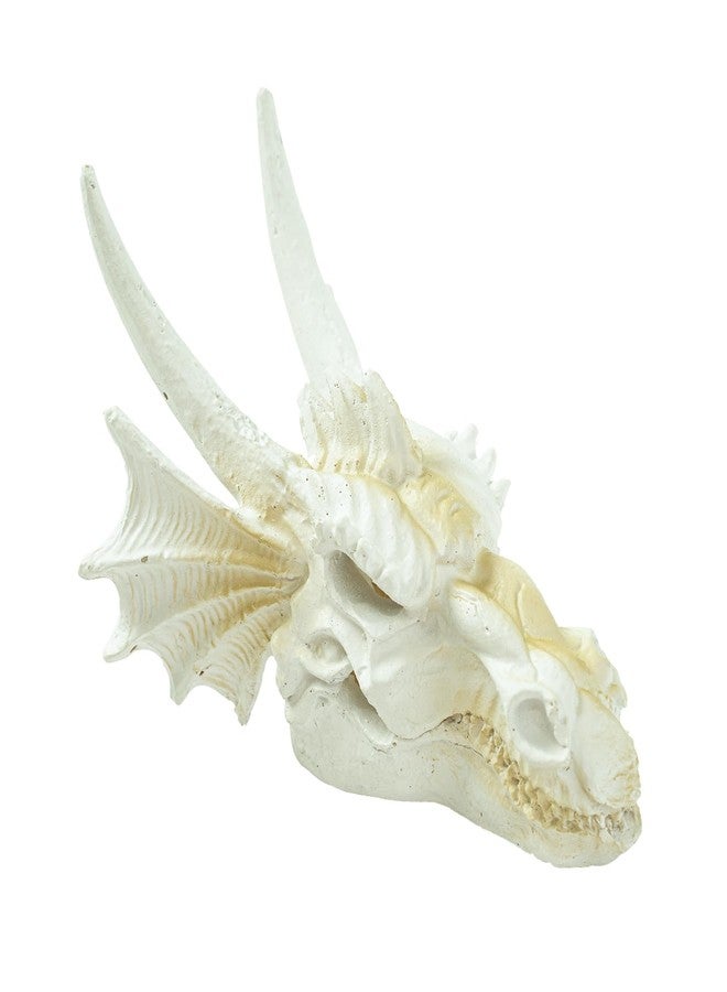 Swirge Dragon Skull Ornament for Aquarium Reptile Fish Tank Decorations Mini Betta Fish Tank Decor Accessories - Image 1